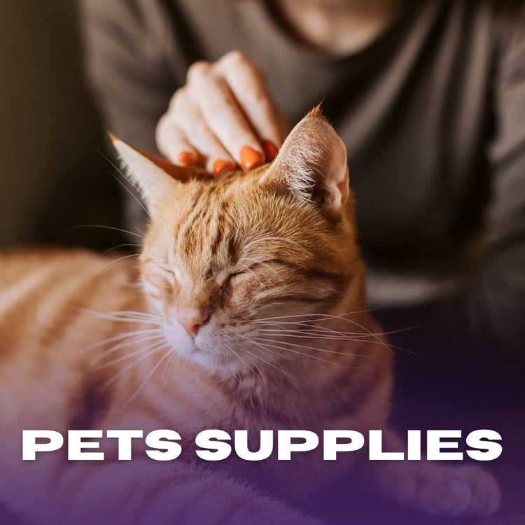 Pet Supplies – Food, Toys & Accessories for Pets | Jaazi Intl