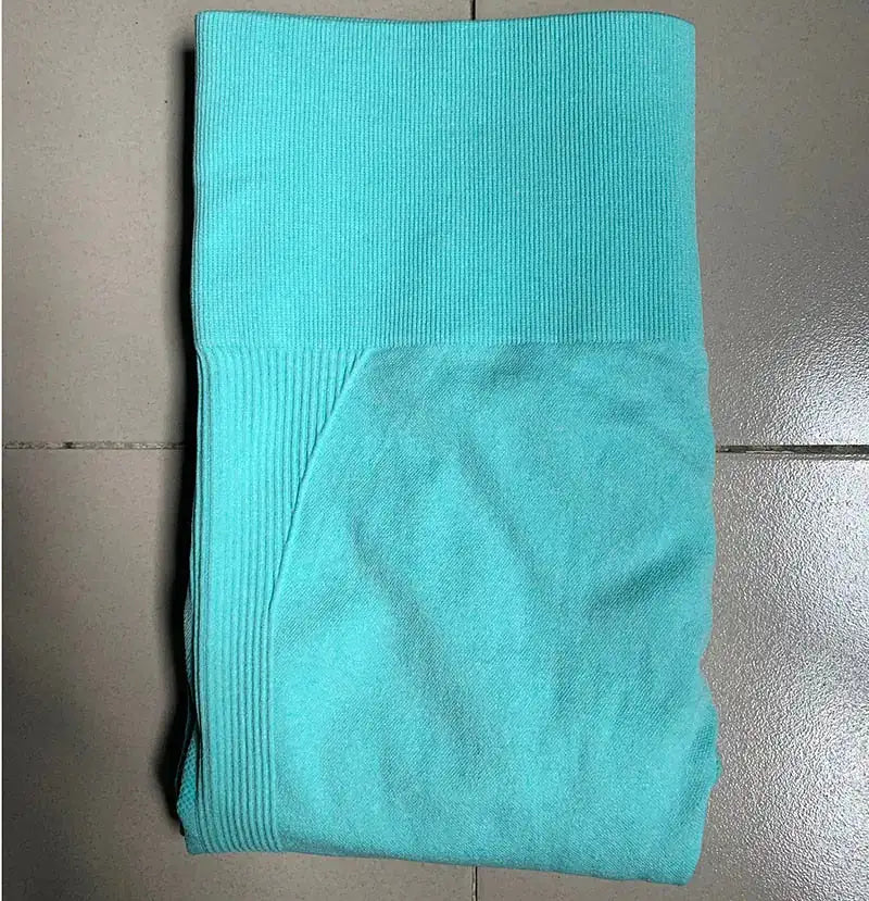 Gym Seamless Sports Pants (Private Listing U12345)