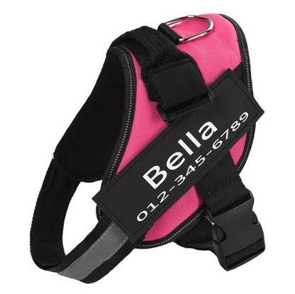 Personalized No-Pull Harness