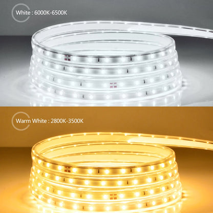 Neon LED Strip Light String With 220V EU 110V US Plug Waterproof Night light lamp SMD 3528120LEDS/M for Kitchen Bedroom Decor