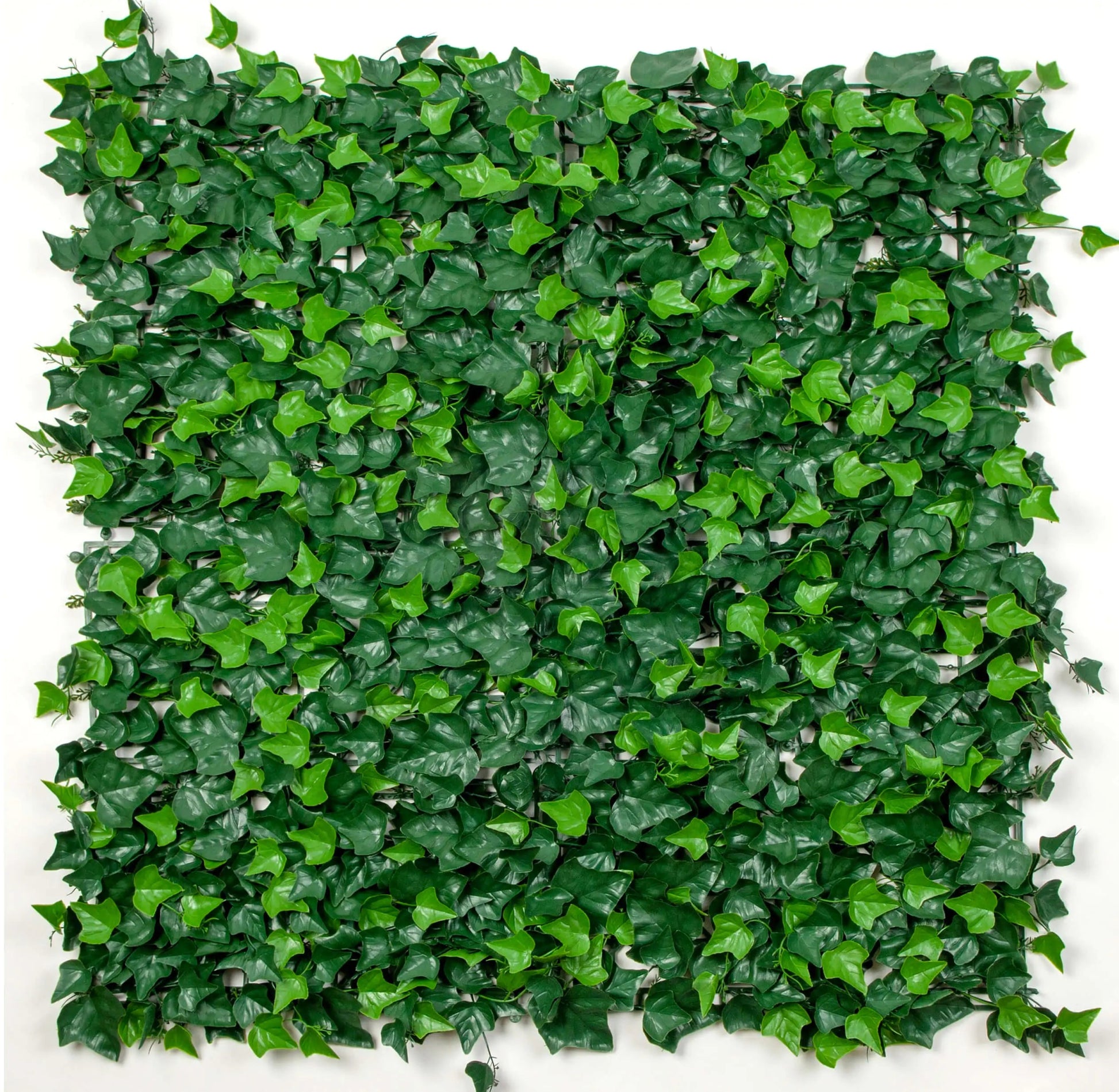 Artificial Boston Ivy Green Wall 33SQ FT UV Resistant - Jaazi Intl