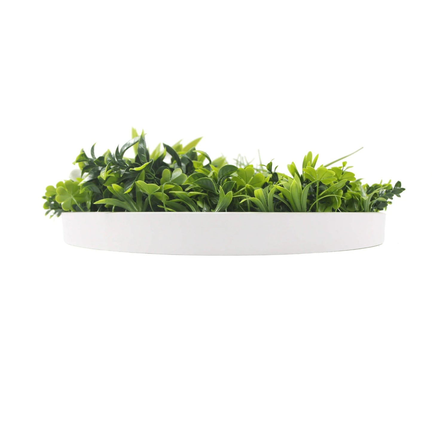 Artificial Green Wall Disc 20" White Frame UV Resistant - Jaazi Intl