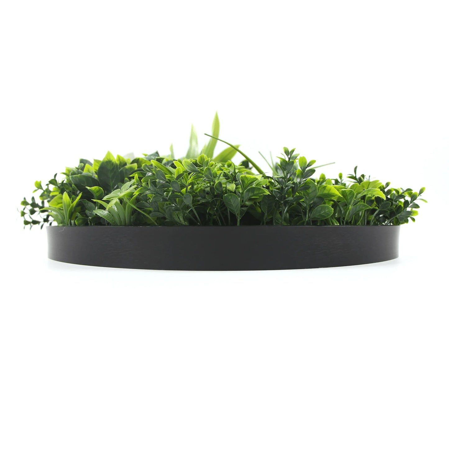 Artificial Green Wall Disc 30" Black Frame UV Resistant - Jaazi Intl