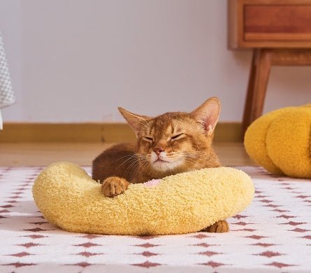 Cat U-shaped Pillow And Dog Protect Cervical Spine - Jaazi Intl