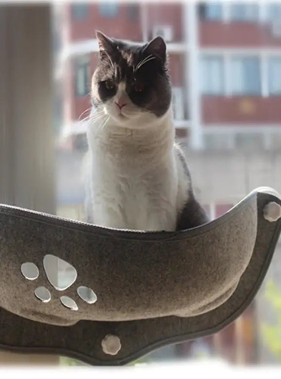 Cat Window Hammock - Jaazi Intl