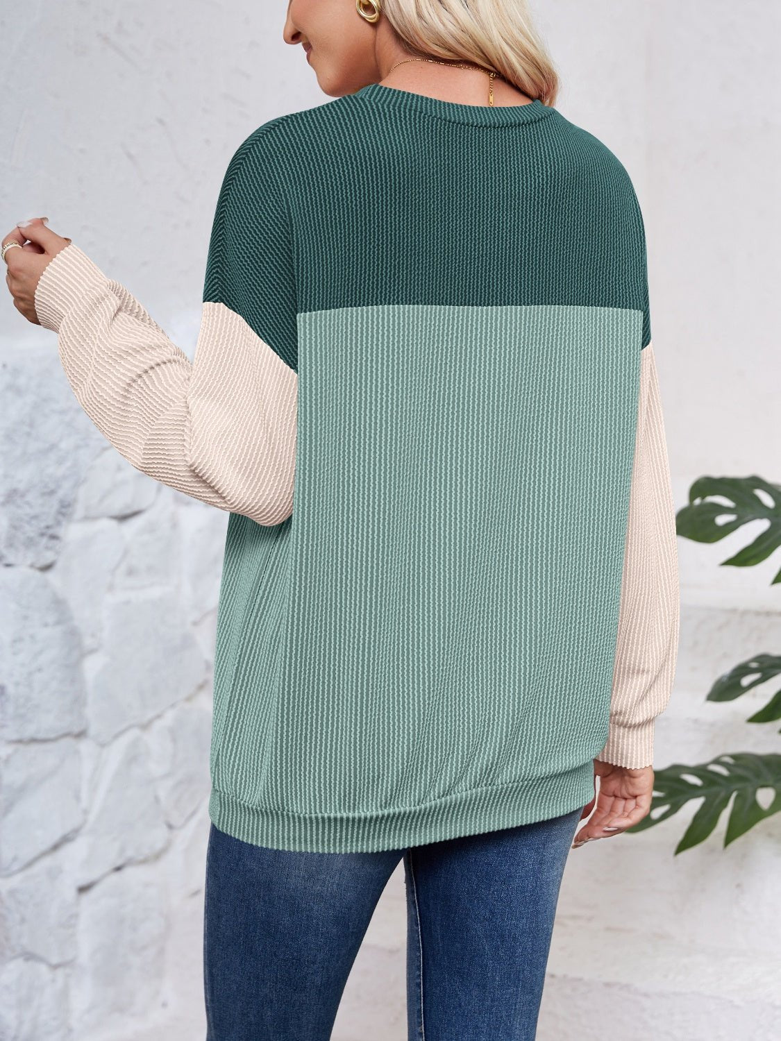 Color Block Round Neck Long Sleeve Sweatshirt - Jaazi Intl