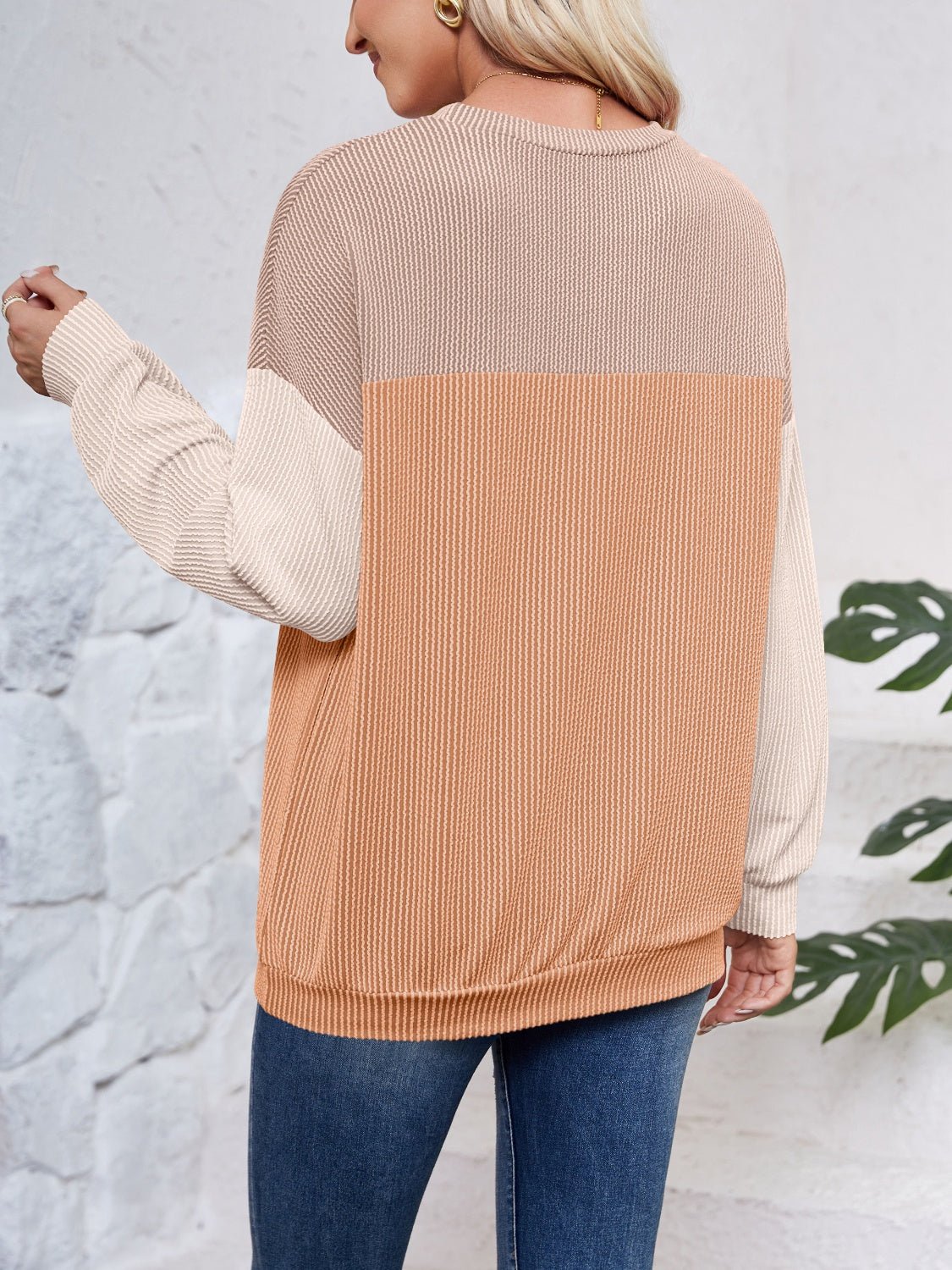 Color Block Round Neck Long Sleeve Sweatshirt - Jaazi Intl