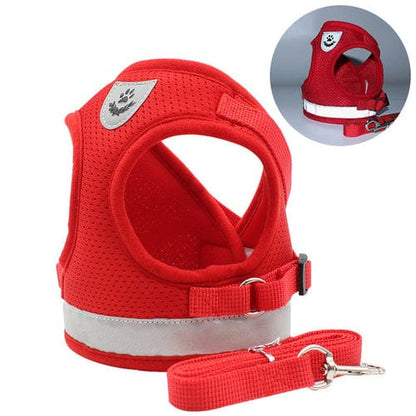 CozyCat Pet Harness and Leash - Jaazi Intl