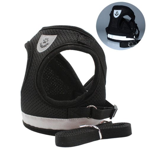 CozyCat Pet Harness and Leash - Jaazi Intl