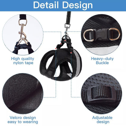 CozyCat Pet Harness and Leash - Jaazi Intl