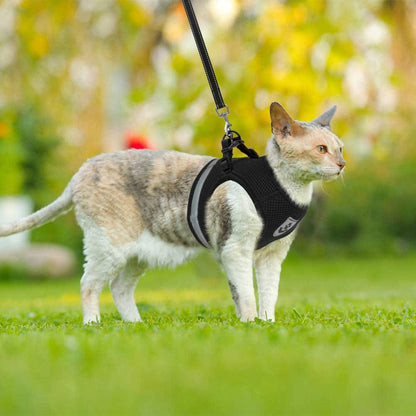 CozyCat Pet Harness and Leash - Jaazi Intl