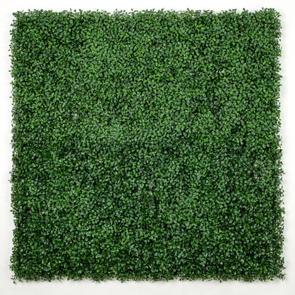 Dark Artificial Boxwood Wall 40" x 40" 11SQ FT - Jaazi Intl