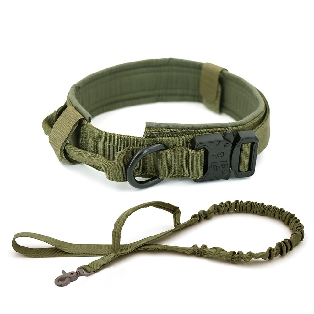 Dog Collar - Jaazi Intl