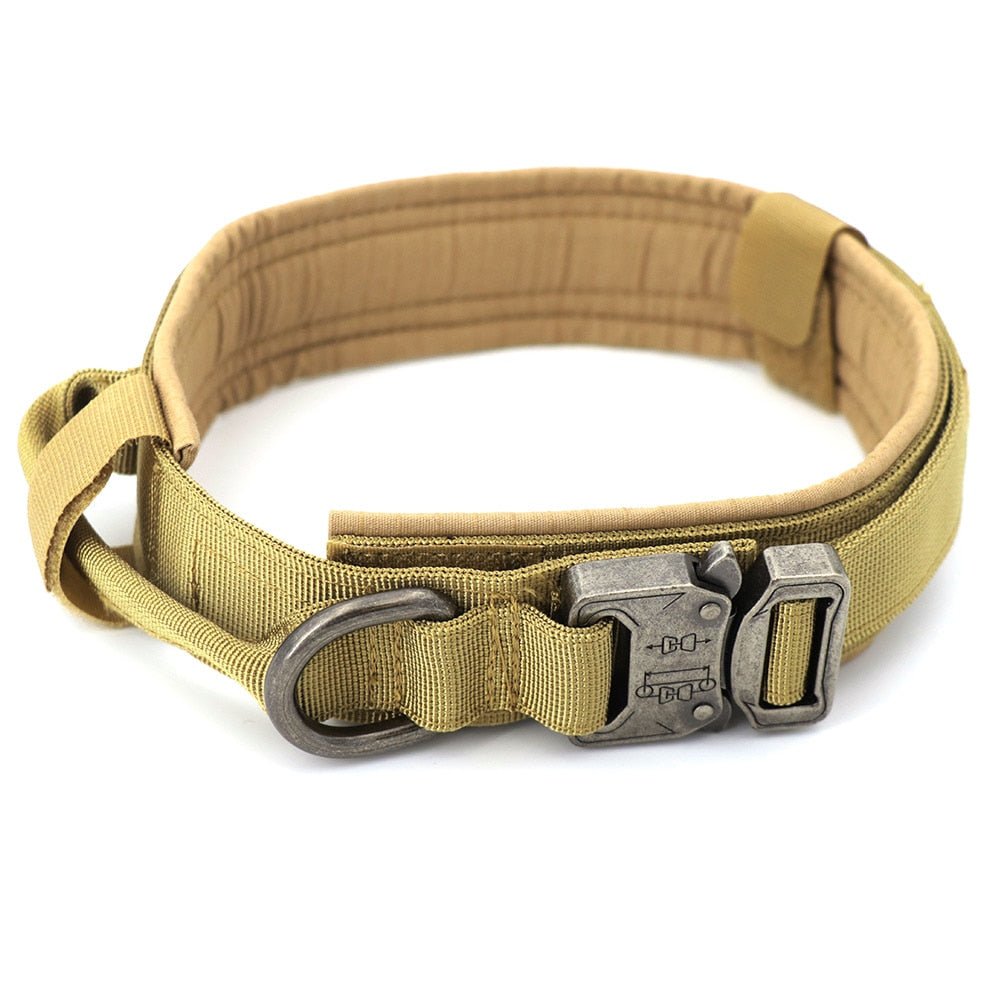 Dog Collar - Jaazi Intl