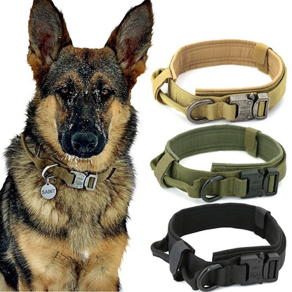 Dog Collar - Jaazi Intl