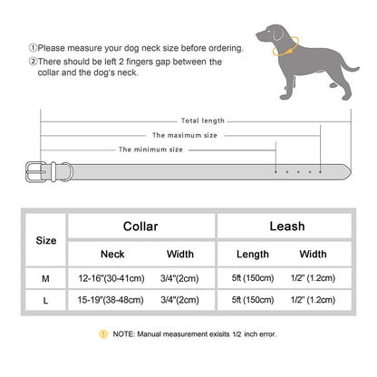 Dog Collar and Leash Set - Jaazi Intl