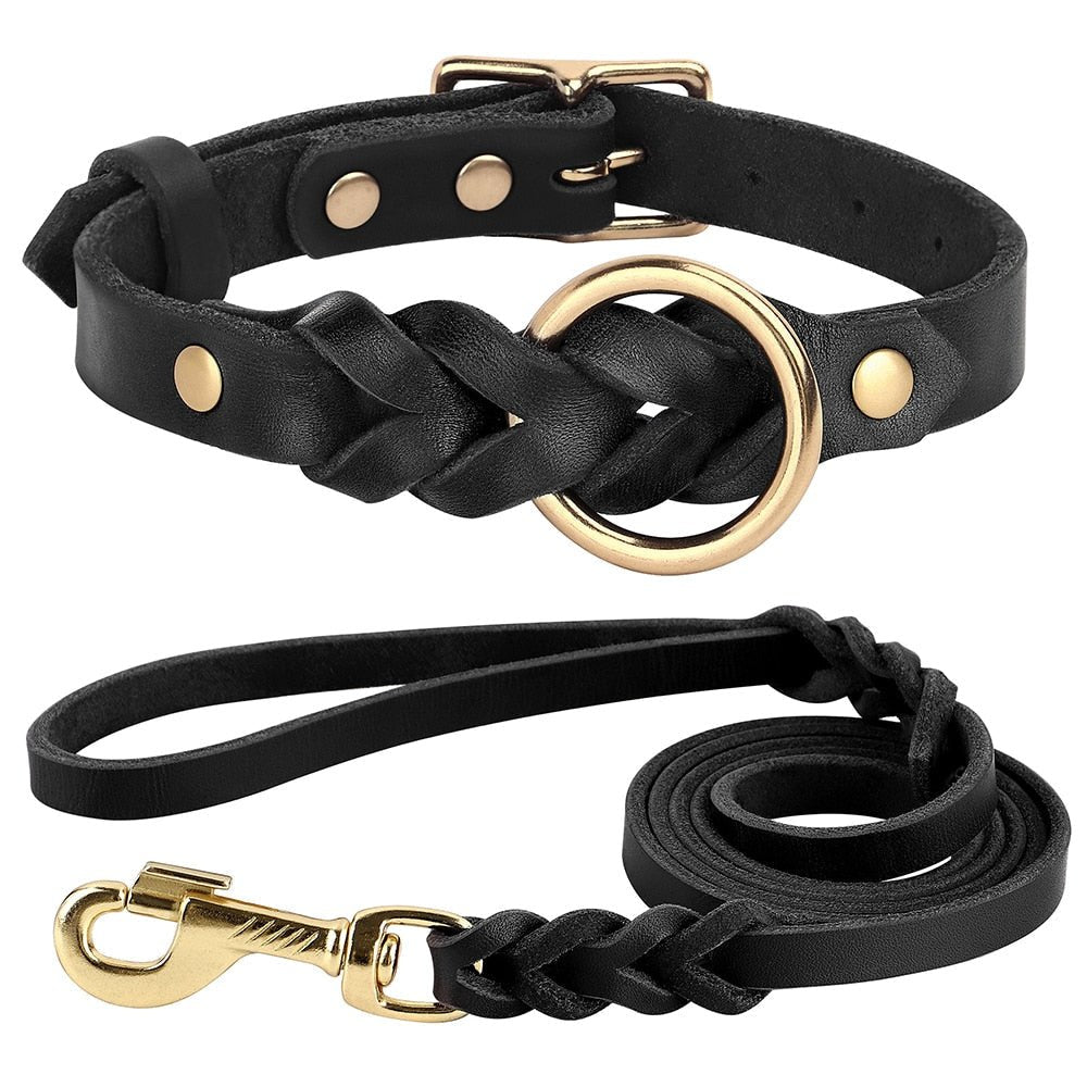 Dog Collar and Leash Set - Jaazi Intl