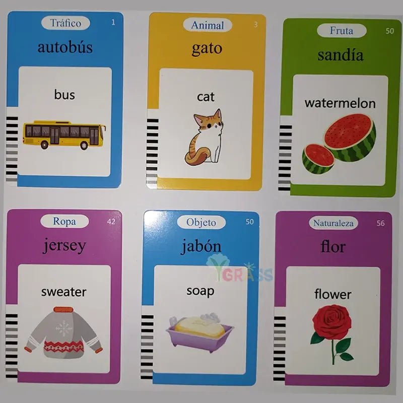 Educational Learning Talking Flash Cards - Jaazi Intl