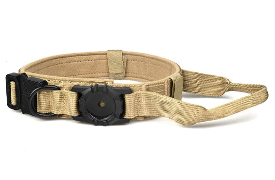 Metal Buckle Dog Collar