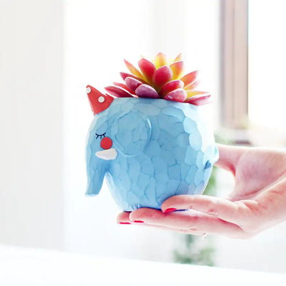 Animals Succulent Planter - Jaazi Intl