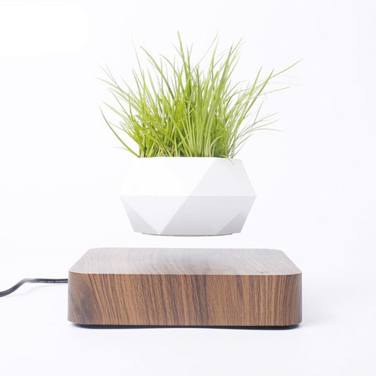 Levitating Air Bonsai Pot - Jaazi Intl